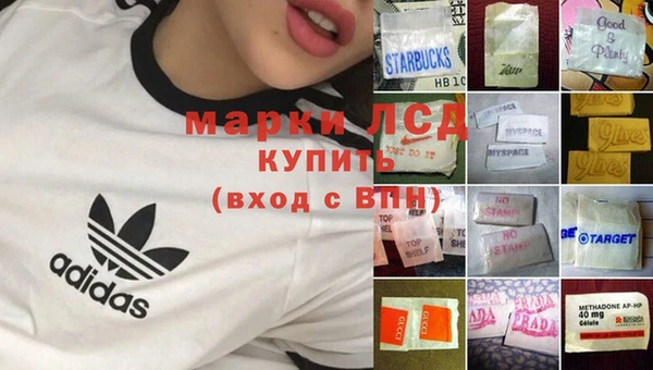 мет Касимов