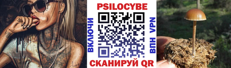 Псилоцибиновые грибы мухоморы  Бердск 