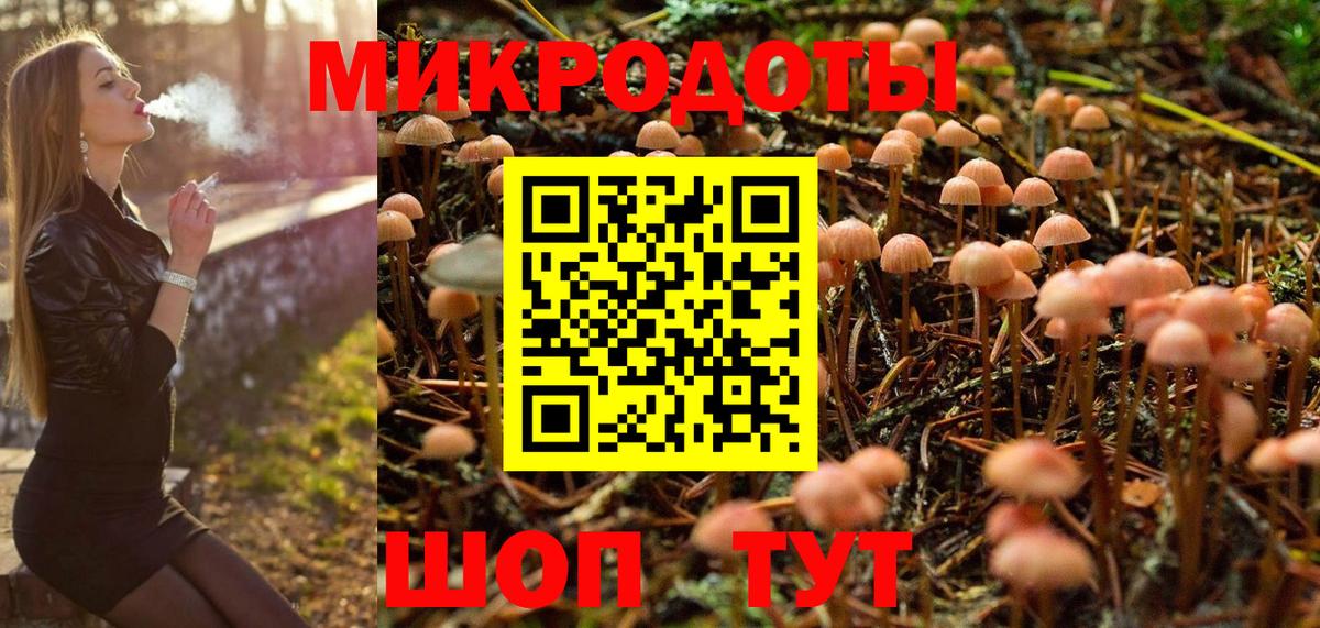 Бердск  Псилоцибиновые грибы Cubensis  купить  сайты  Вход с VPN 