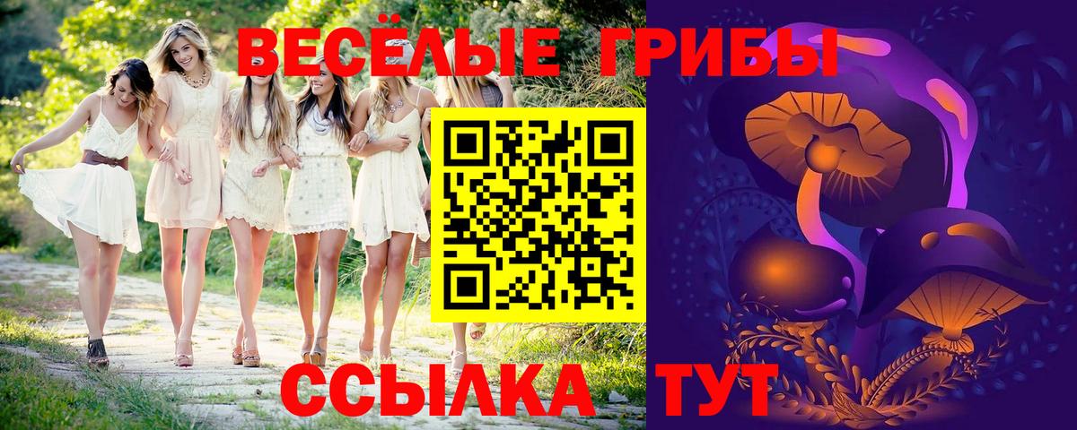 Псилоцибиновые грибы GOLDEN TEACHER Бердск